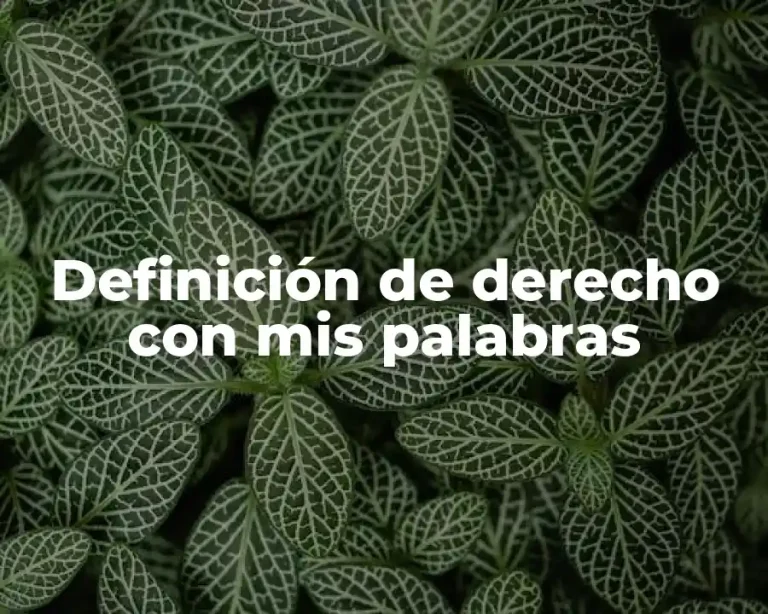 Definición de derecho con mis palabras