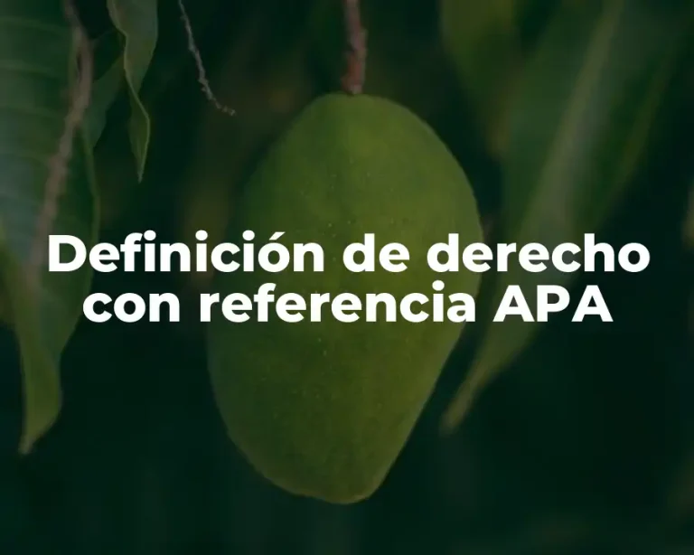 Definición de derecho con referencia APA
