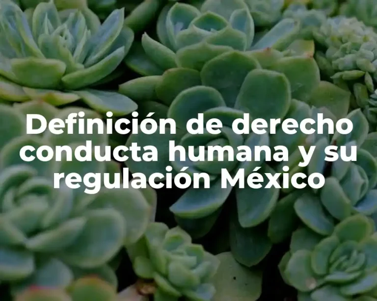 Definición de derecho conducta humana y su regulación México