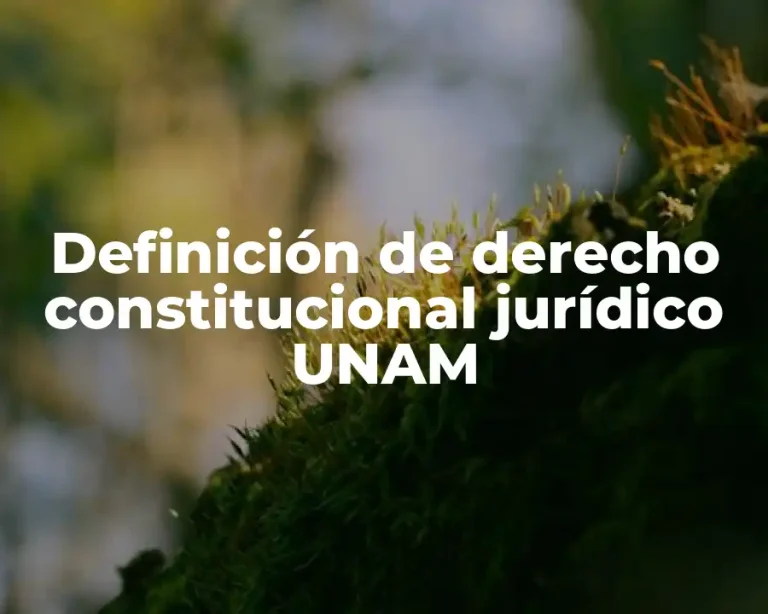 Definición de derecho constitucional jurídico UNAM