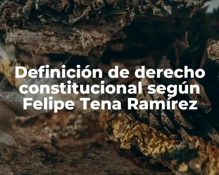 Definición de derecho constitucional según Felipe Tena Ramírez