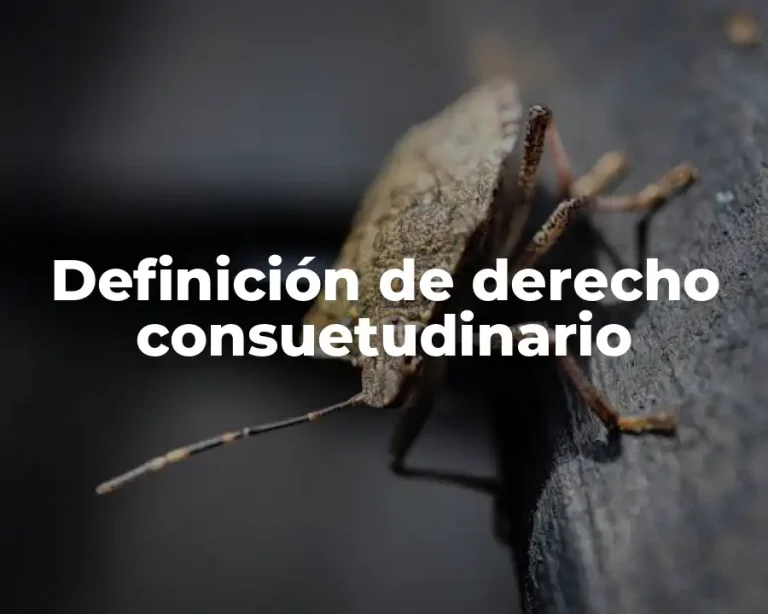 Definición de derecho consuetudinario