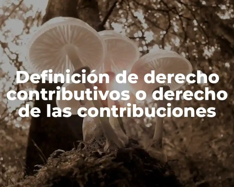 Definición de derecho contributivos o derecho de las contribuciones