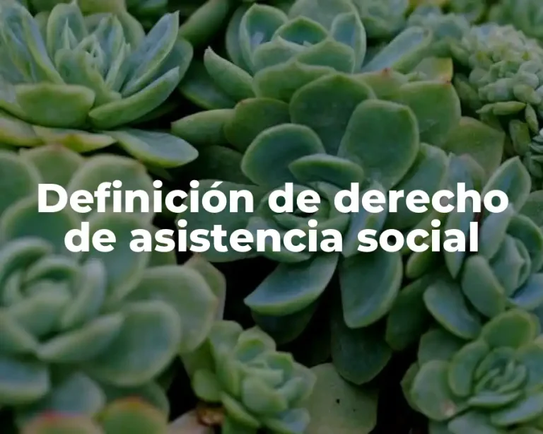 Definición de derecho de asistencia social
