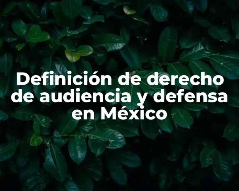 Definición de derecho de audiencia y defensa en México