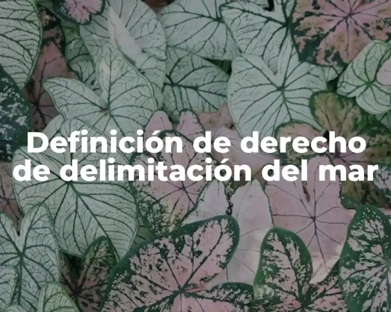 Definición de derecho de delimitación del mar