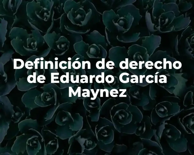 Definición de derecho de Eduardo García Maynez