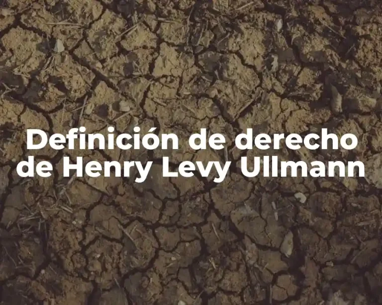 Definición de derecho de Henry Levy Ullmann
