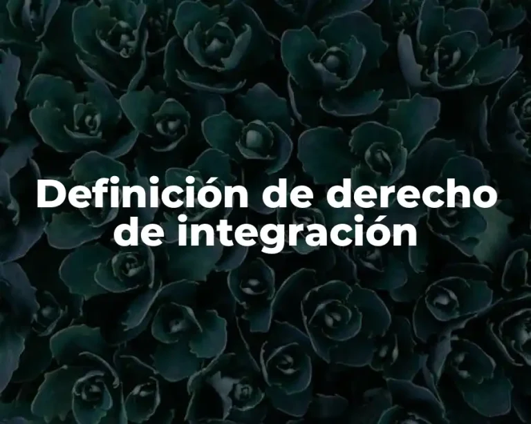 Definición de derecho de integración