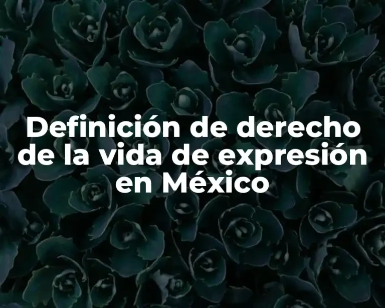 Definición de derecho de la vida de expresión en México