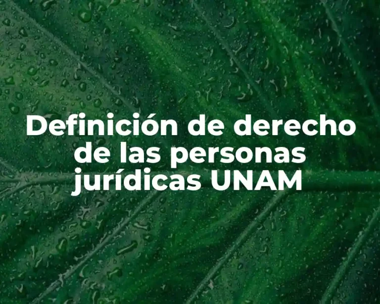 Definición de derecho de las personas jurídicas UNAM