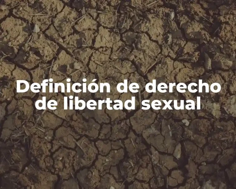 Definición de derecho de libertad sexual