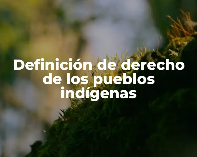 Definición de derecho de los pueblos indígenas
