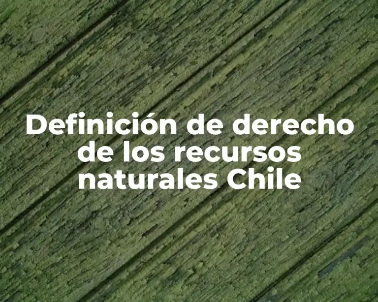 Definición de derecho de los recursos naturales Chile