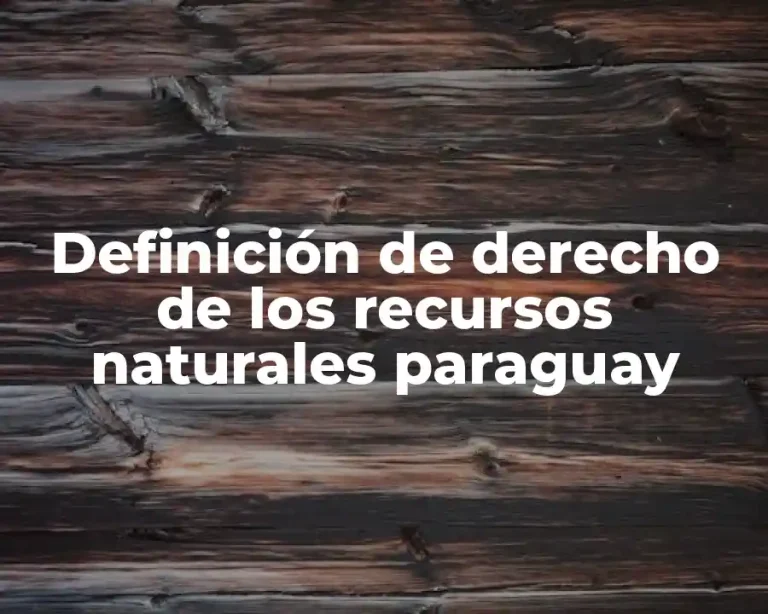 Definición de derecho de los recursos naturales paraguay