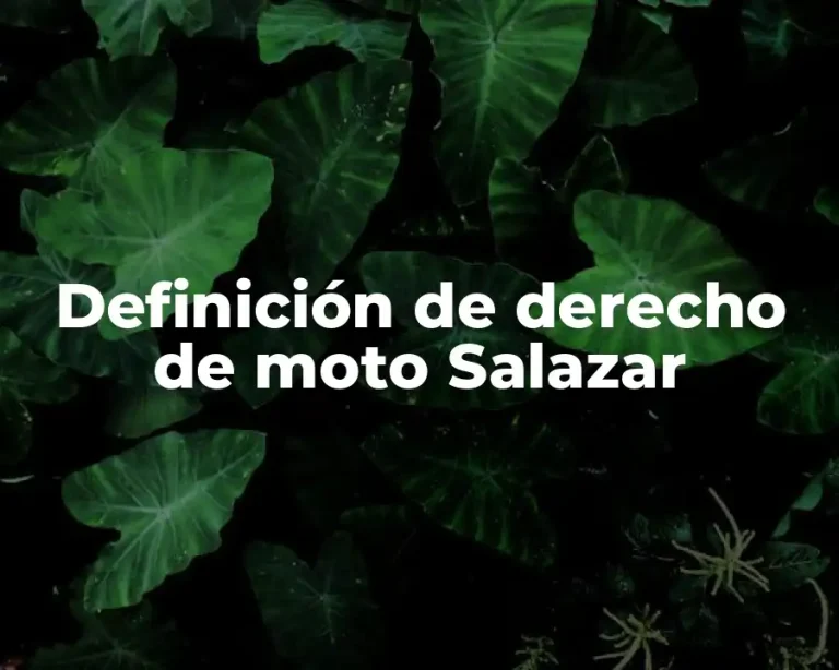 Definición de derecho de moto Salazar