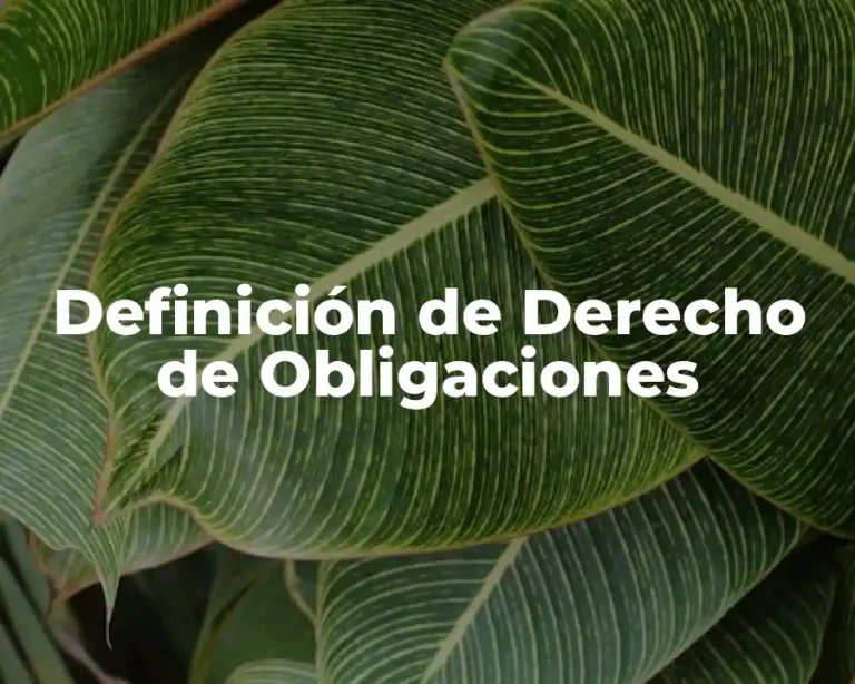 Definición de Derecho de Obligaciones