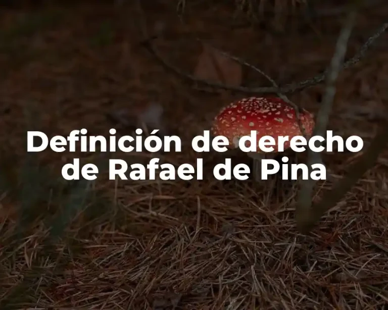 Definición de derecho de Rafael de Pina