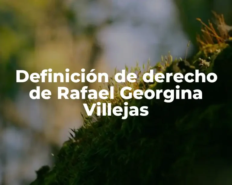 Definición de derecho de Rafael Georgina Villejas