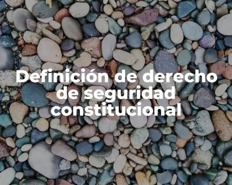 Definición de derecho de seguridad constitucional