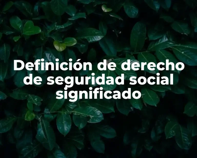 Definición de derecho de seguridad social significado