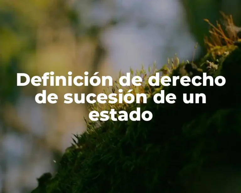 Definición de derecho de sucesión de un estado