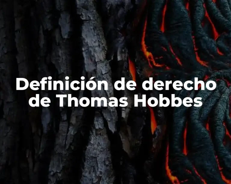 Definición de derecho de Thomas Hobbes