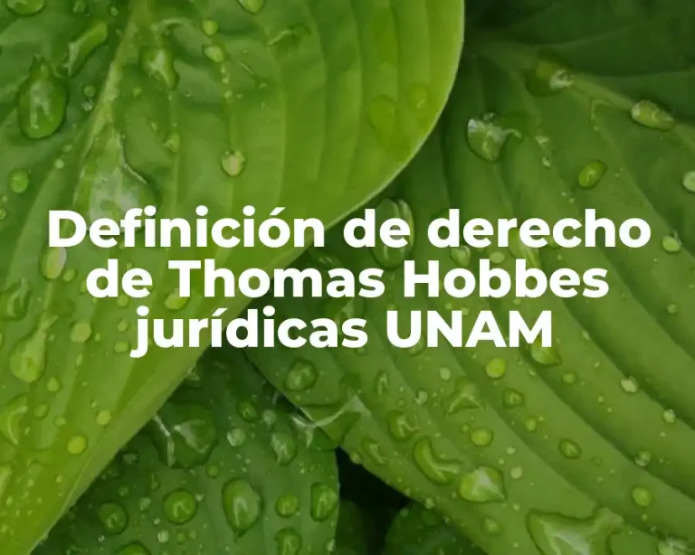 Definición de derecho de Thomas Hobbes jurídicas UNAM