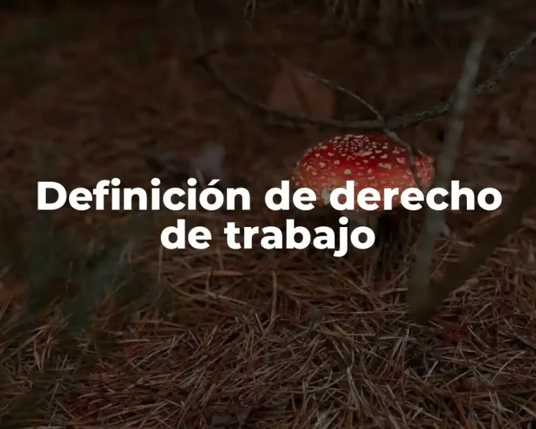 Definición de derecho de trabajo