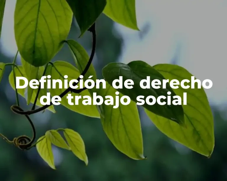 Definición de derecho de trabajo social