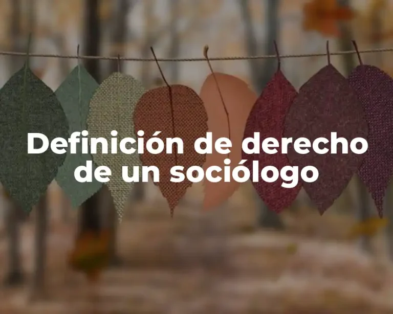 Definición de derecho de un sociólogo