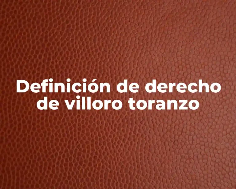 Definición de derecho de villoro toranzo