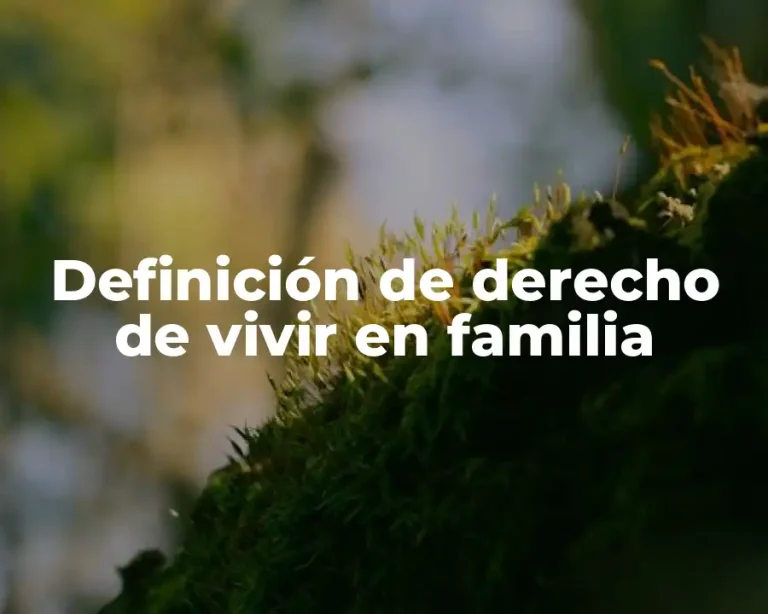 Definición de derecho de vivir en familia