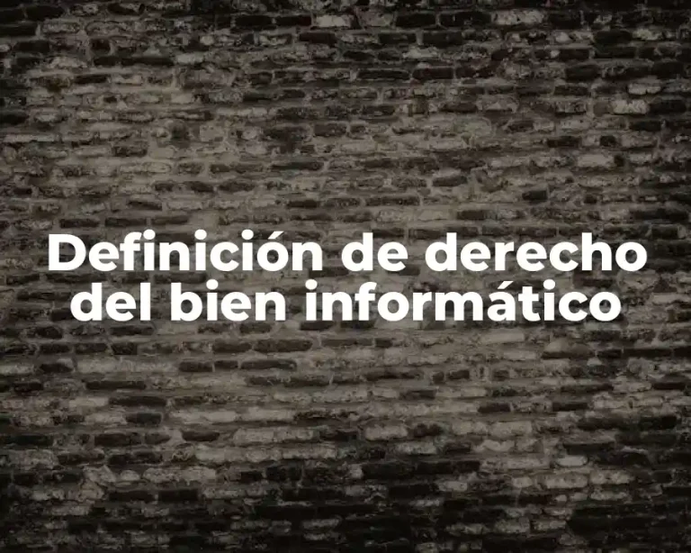 Definición de derecho del bien informático