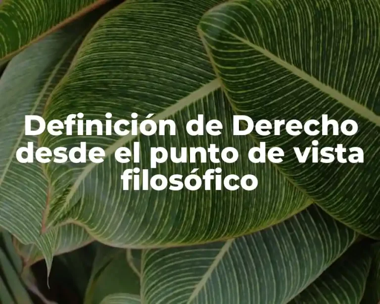 Definición de Derecho desde el punto de vista filosófico