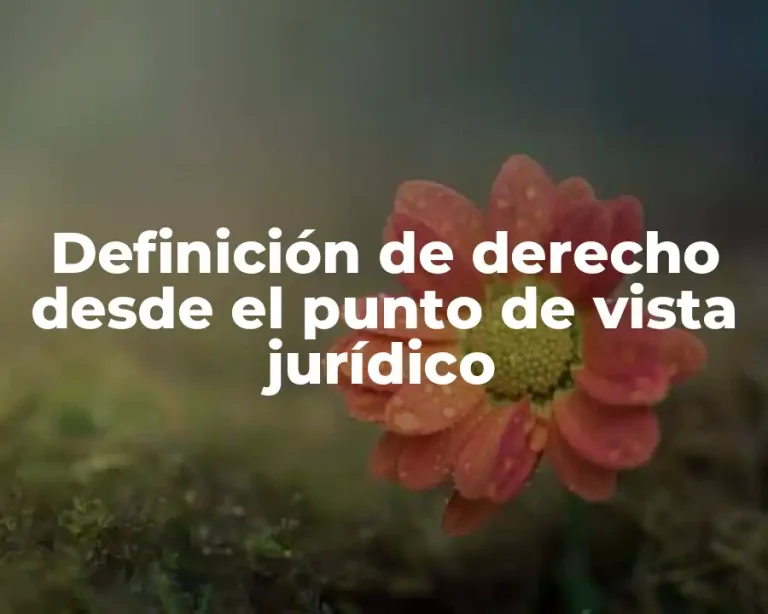 Definición de derecho desde el punto de vista jurídico
