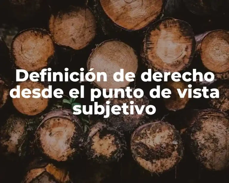 Definición de derecho desde el punto de vista subjetivo