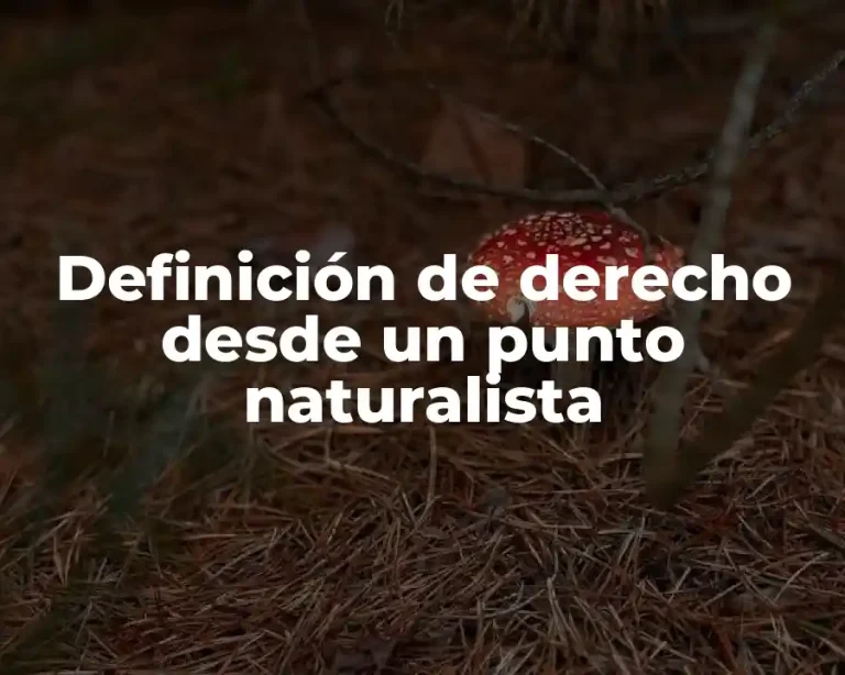 Definición de derecho desde un punto naturalista