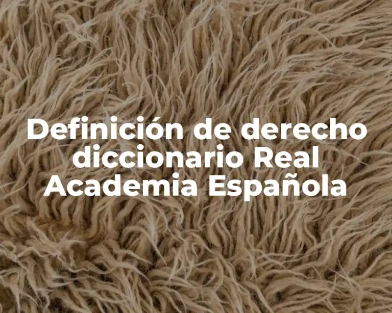 Definición de derecho diccionario Real Academia Española