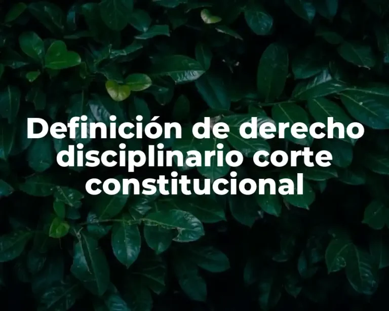 Definición de derecho disciplinario corte constitucional