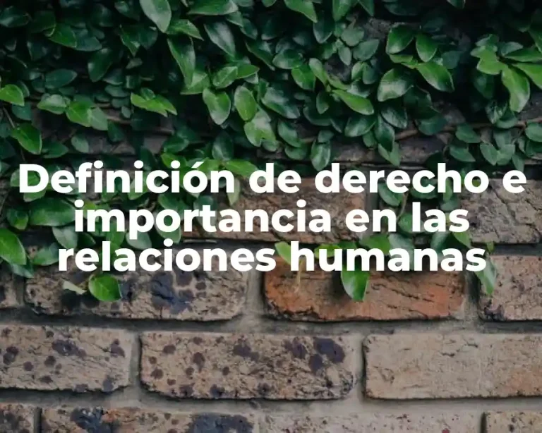 Definición de derecho e importancia en las relaciones humanas