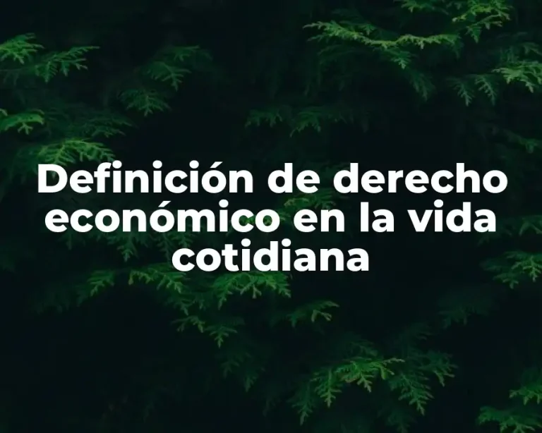 Definición de derecho económico en la vida cotidiana