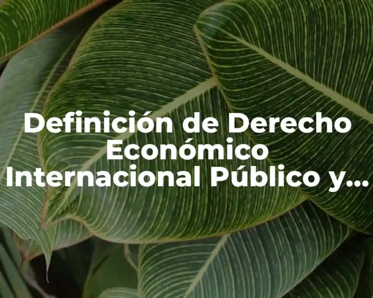 Definición de Derecho Económico Internacional Público y Privado