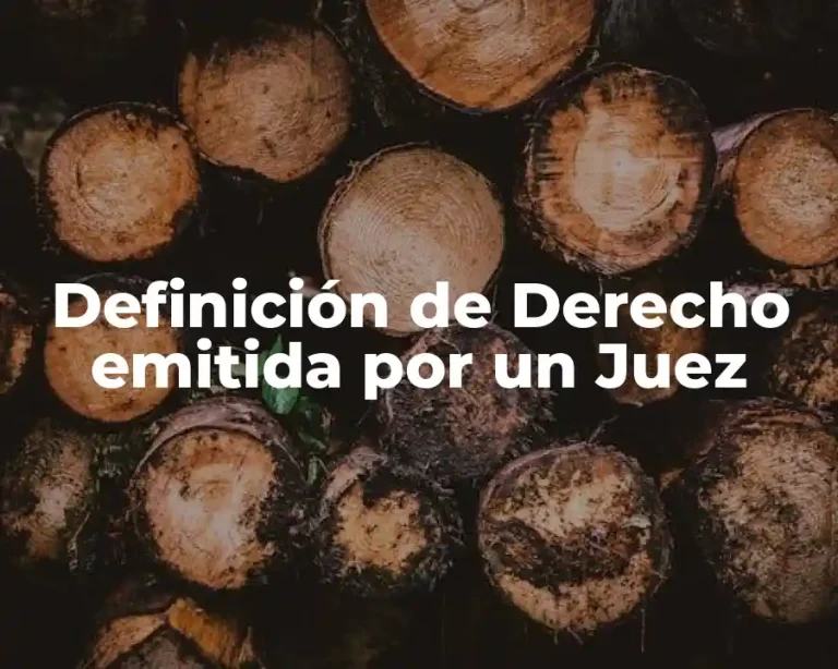 Definición de Derecho emitida por un Juez
