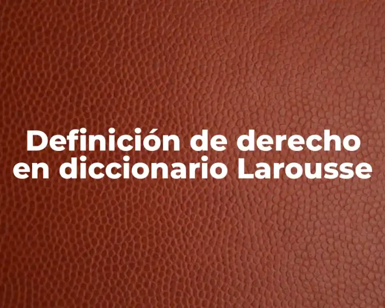 Definición de derecho en diccionario Larousse