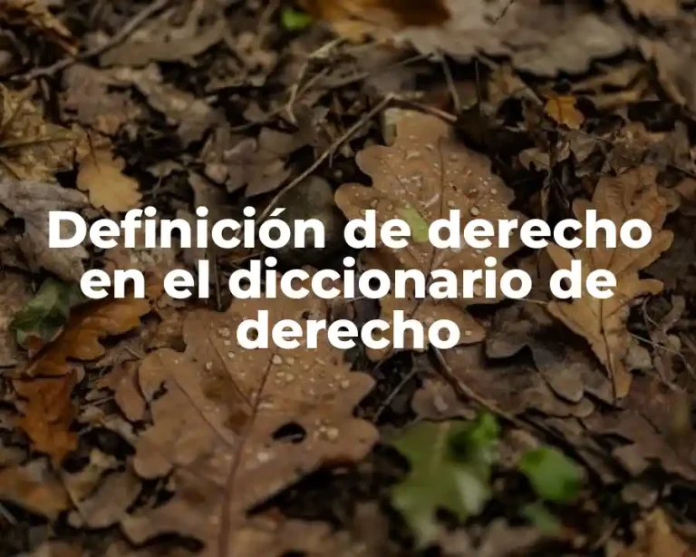 Definición de derecho en el diccionario de derecho