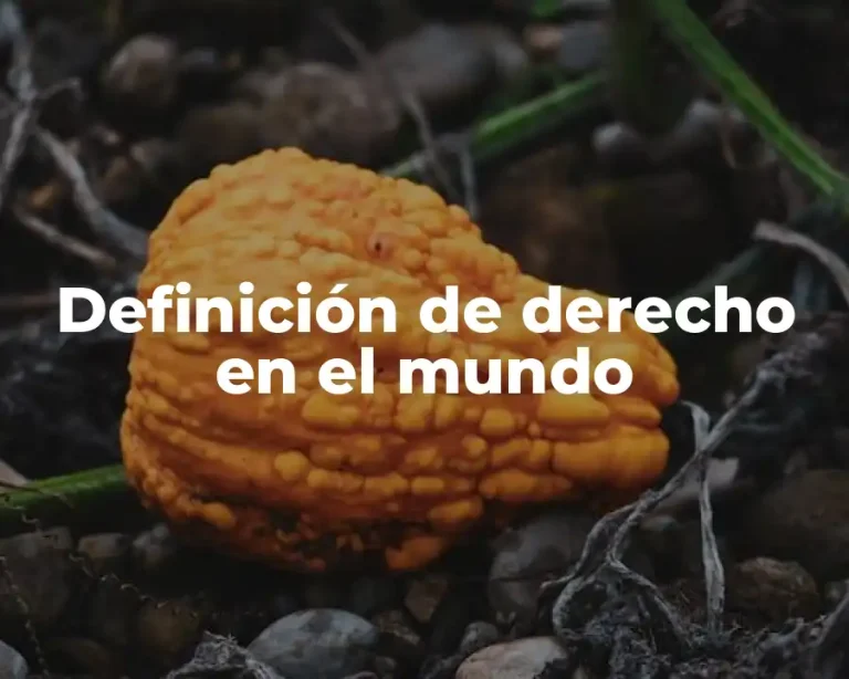 Definición de derecho en el mundo