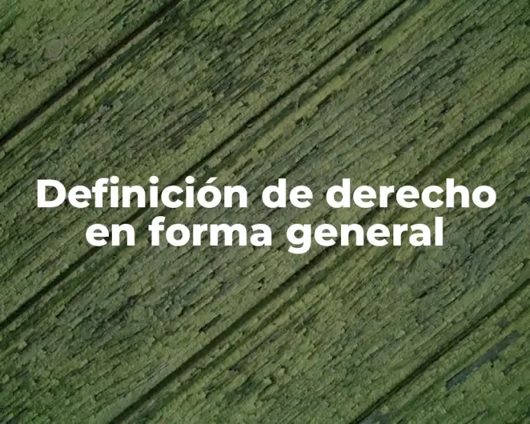 Definición de derecho en forma general