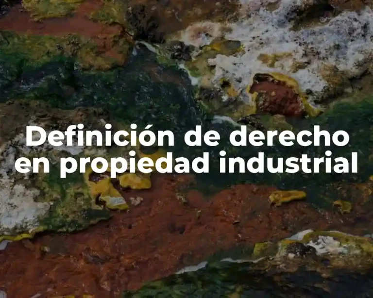 Definición de derecho en propiedad industrial