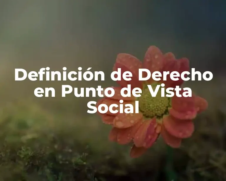 Definición de Derecho en Punto de Vista Social